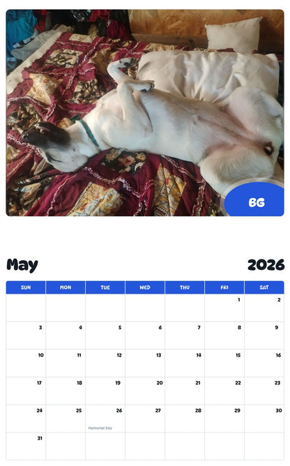 2026 - 2027 BG - Pawidols Pet Calendar