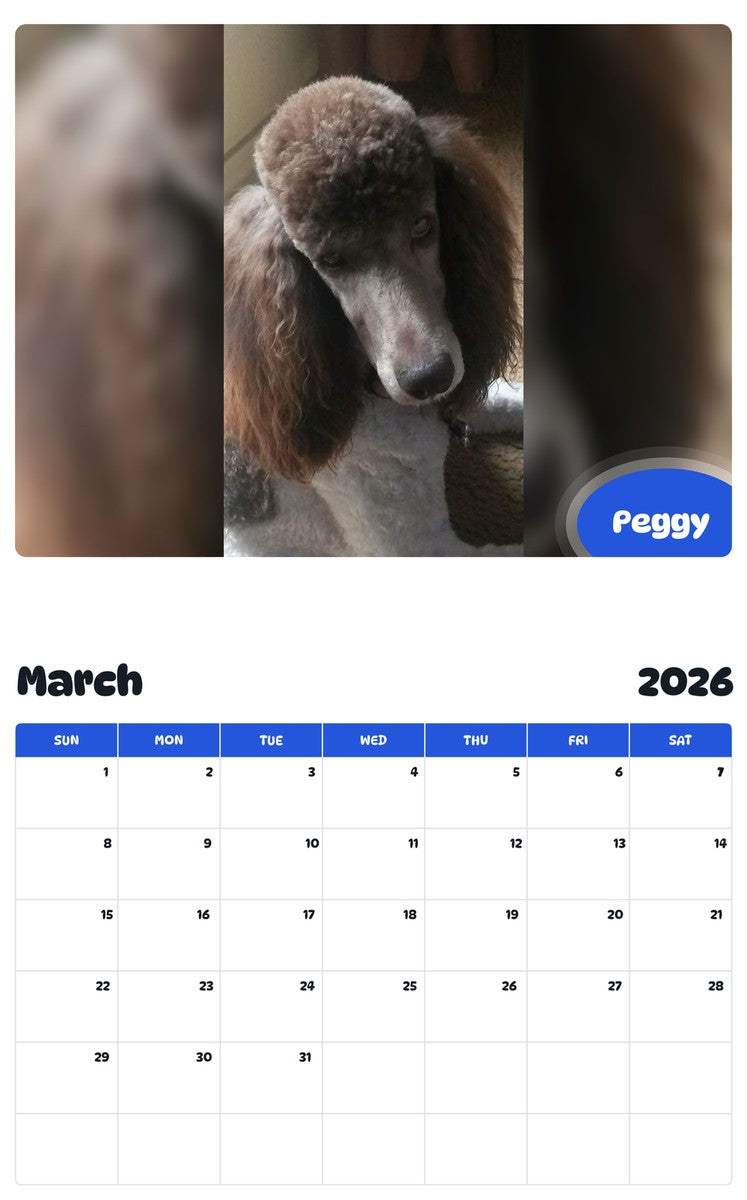 November 2025 - October 2026 Peggy - Pawidols Pet Calendar