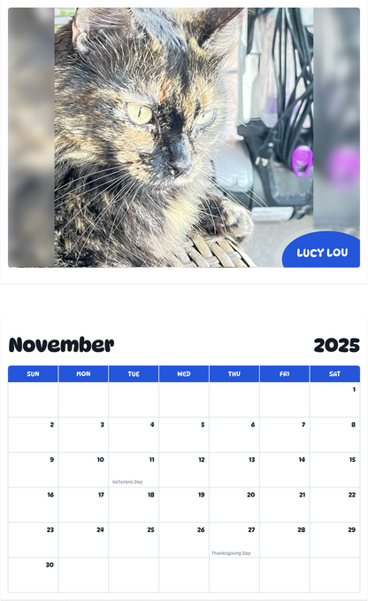 July 2025 - June 2026 Lucy Lou - Pawidols Pet Calendar