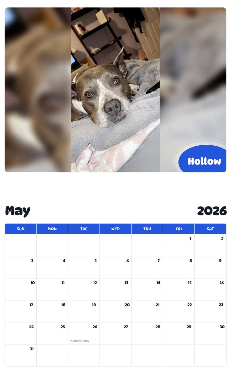 2026 - 2027 Hollow - Pawidols Pet Calendar