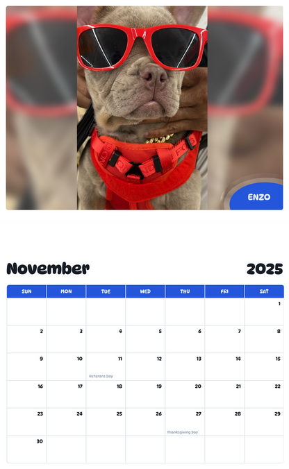 July 2025 - June 2026 Enzo - Pawidols Pet Calendar