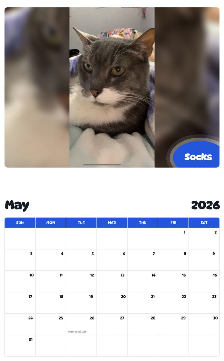 2026 - 2027 Socks - Pawidols Pet Calendar