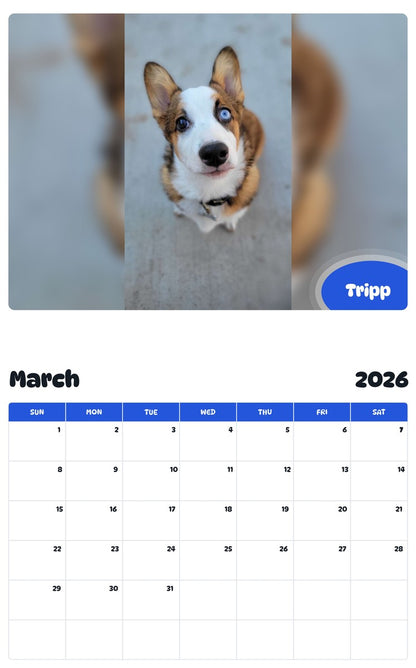 November 2025 - October 2026 Tripp - Pawidols Pet Calendar
