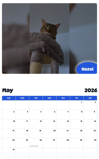 2026 - 2027 Hazel - Pawidols Pet Calendar