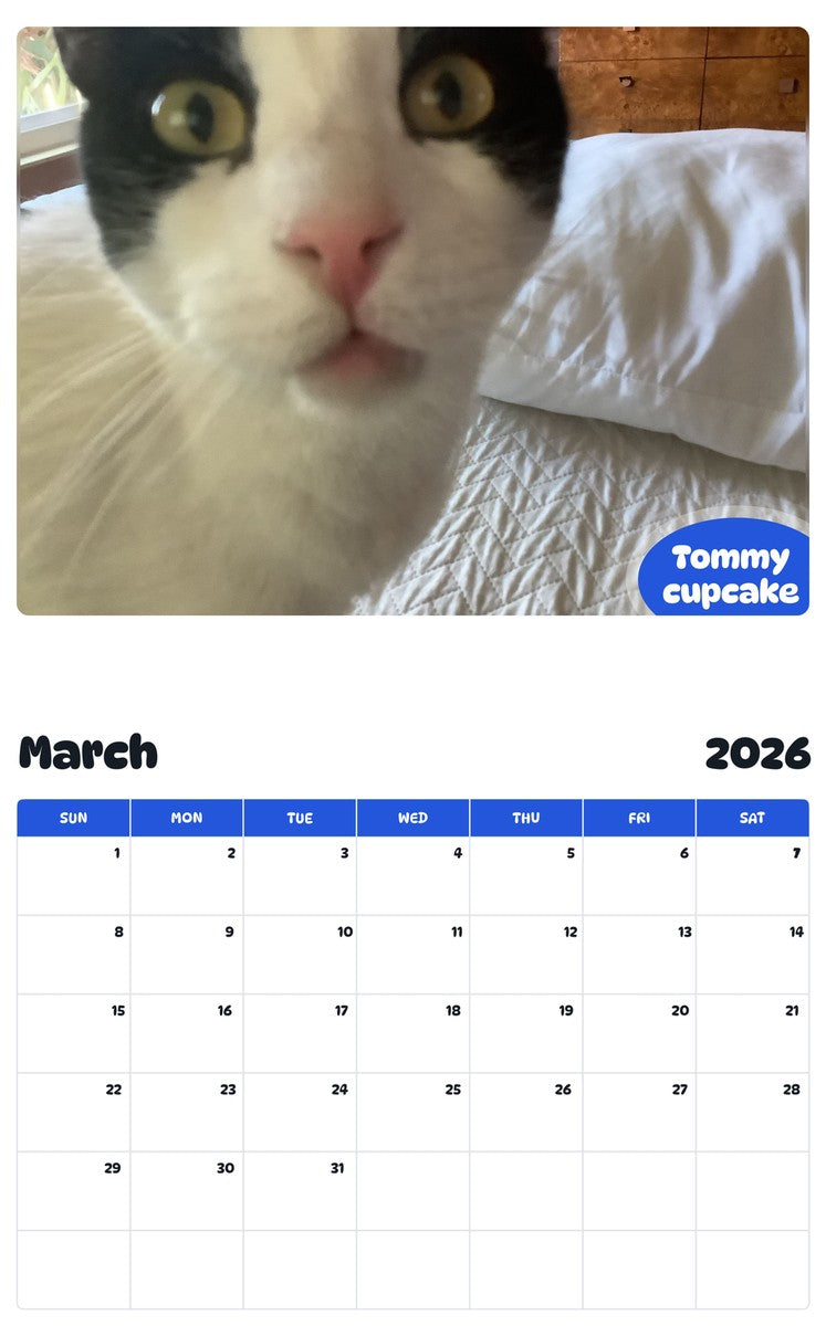November 2025 - October 2026 Tommy cupcake - Pawidols Pet Calendar