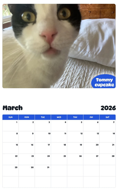 November 2025 - October 2026 Tommy cupcake - Pawidols Pet Calendar