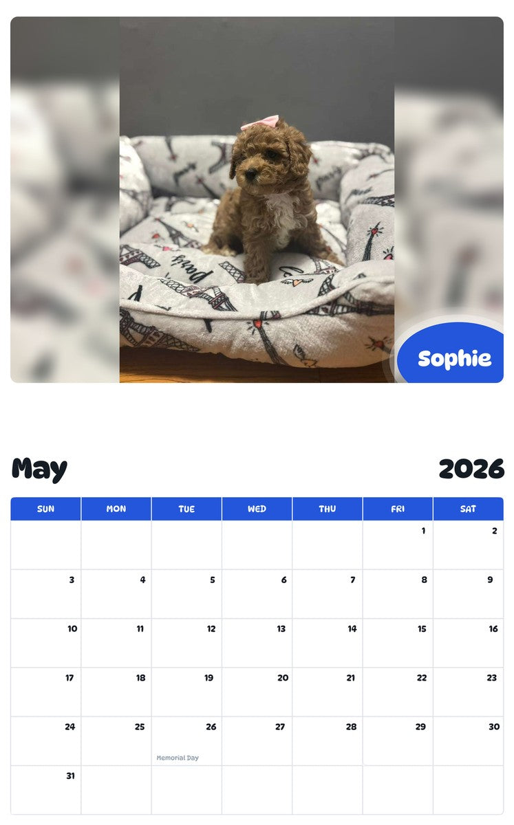 2026 - 2027 Sophie - Pawidols Pet Calendar