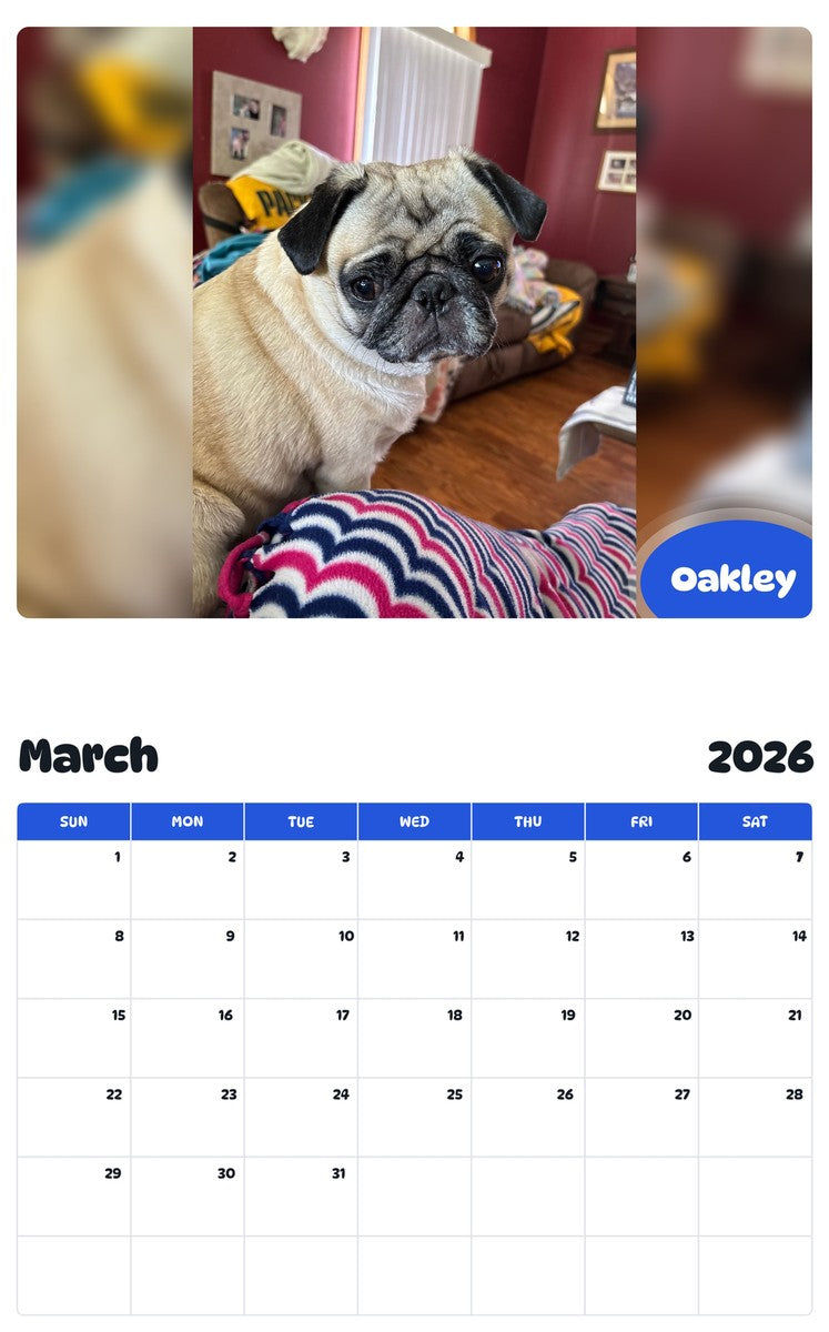 November 2025 - October 2026 Oakley - Pawidols Pet Calendar
