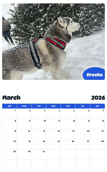 November 2025 - October 2026 Brooke - Pawidols Pet Calendar