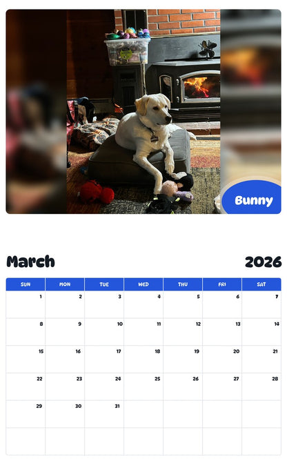 November 2025 - October 2026 Bunny - Pawidols Pet Calendar