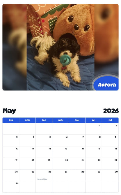 2026 - 2027 Aurora - Pawidols Pet Calendar