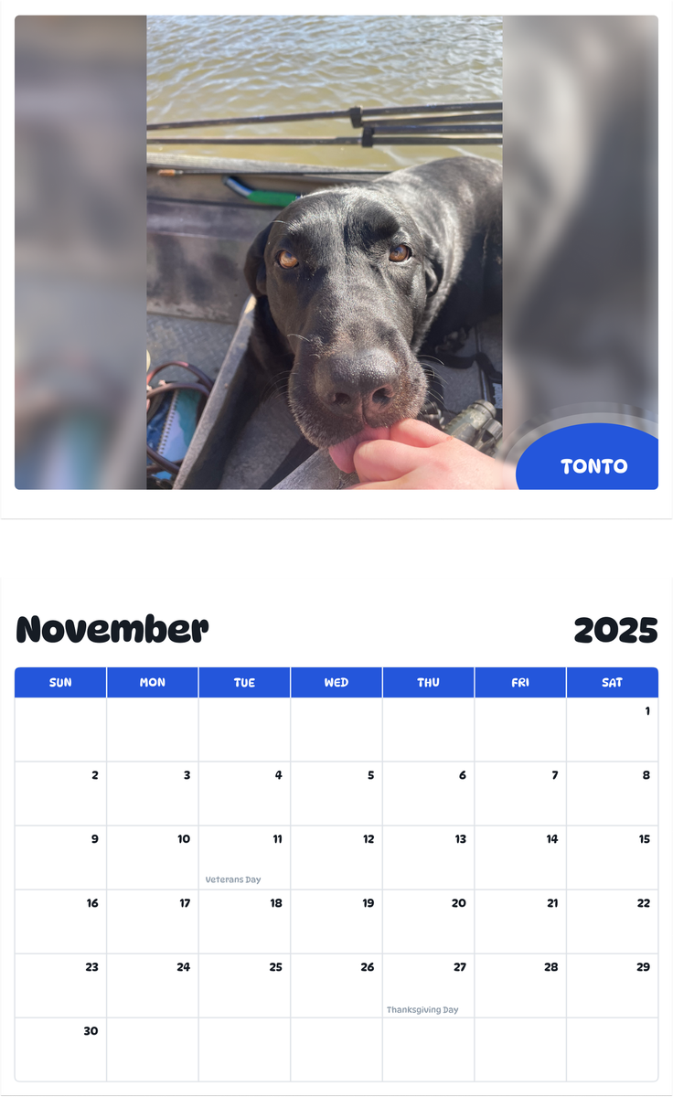 July 2025 - June 2026 Tonto - Pawidols Pet Calendar