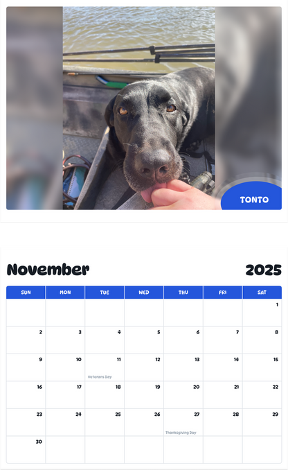 July 2025 - June 2026 Tonto - Pawidols Pet Calendar
