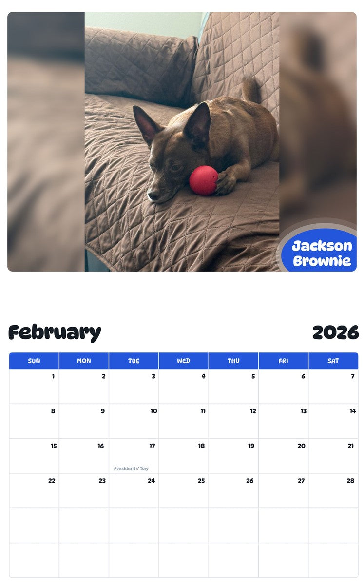 October 2025 - September 2026 Jackson Brownie - Pawidols Pet Calendar