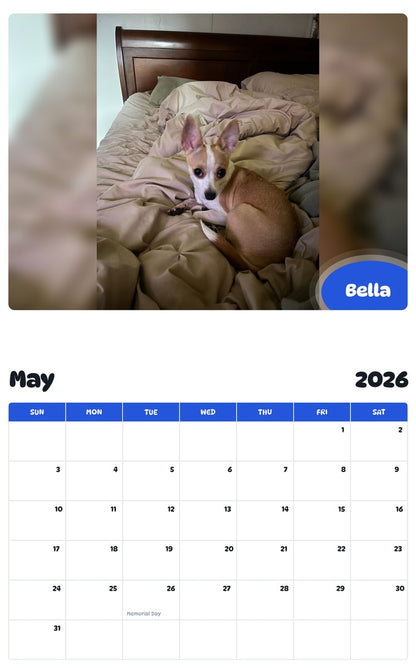 2026 - 2027 Bella - Pawidols Pet Calendar