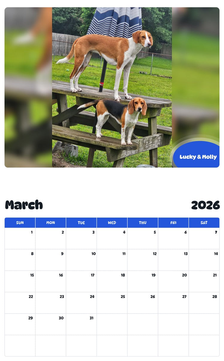 November 2025 - October 2026 Lucky & Molly - Pawidols Pet Calendar