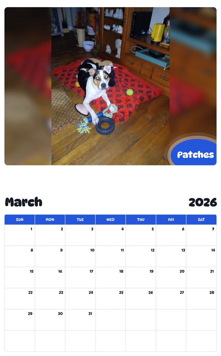 November 2025 - October 2026 Patches - Pawidols Pet Calendar
