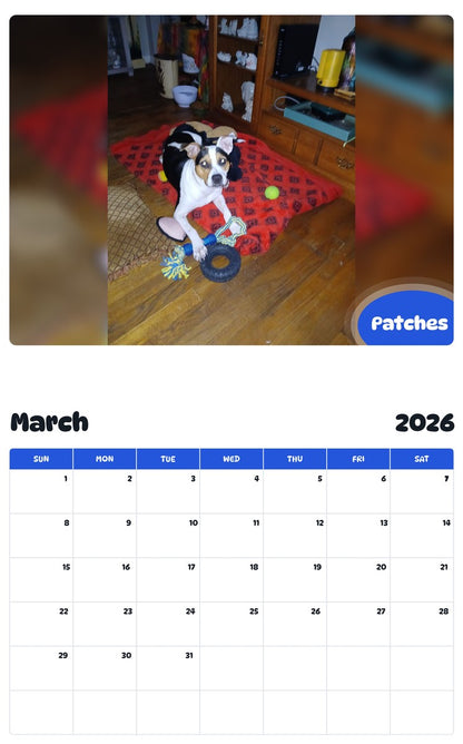 November 2025 - October 2026 Patches - Pawidols Pet Calendar