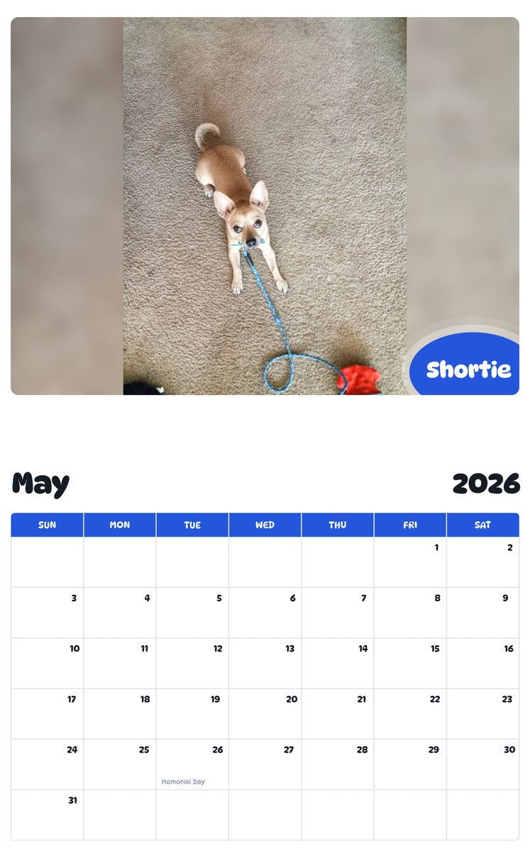 2026 - 2027 Shortie - Pawidols Pet Calendar