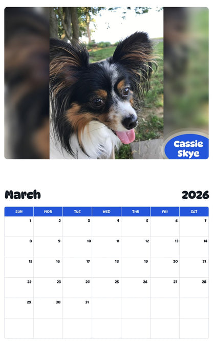 November 2025 - October 2026 Cassie Skye - Pawidols Pet Calendar