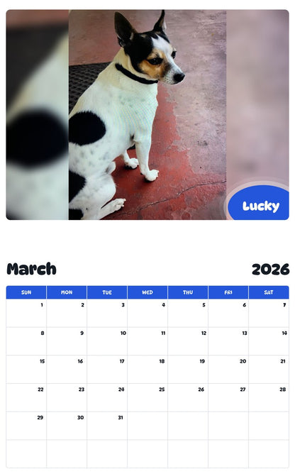 November 2025 - October 2026 Lucky - Pawidols Pet Calendar