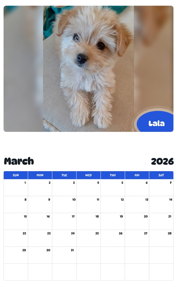 November 2025 - October 2026 Lala - Pawidols Pet Calendar