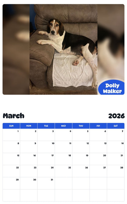 November 2025 - October 2026 Dolly Walker - Pawidols Pet Calendar