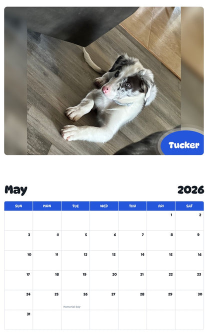 2026 - 2027 Tucker - Pawidols Pet Calendar