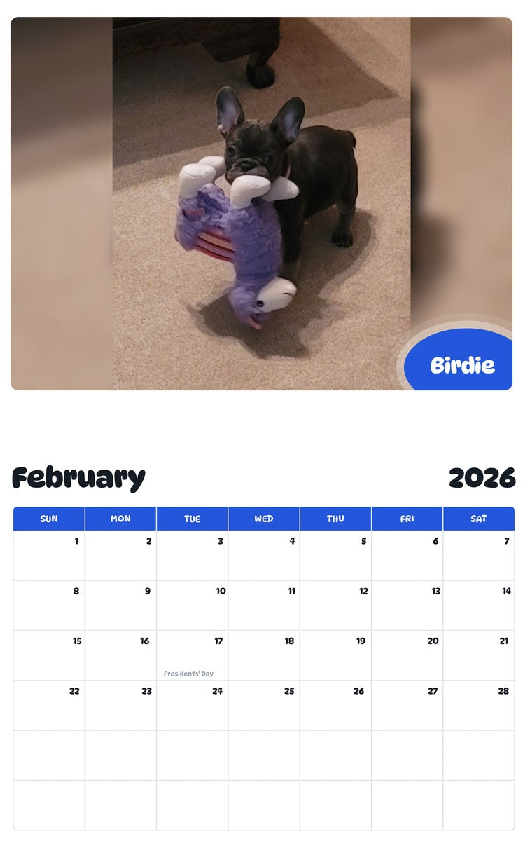 November 2025 - October 2026 Birdie - Pawidols Pet Calendar
