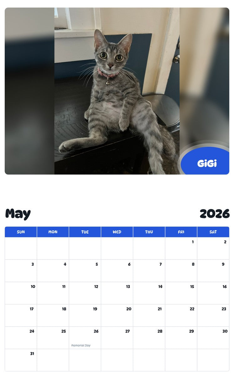 2026 - 2027 GiGi - Pawidols Pet Calendar