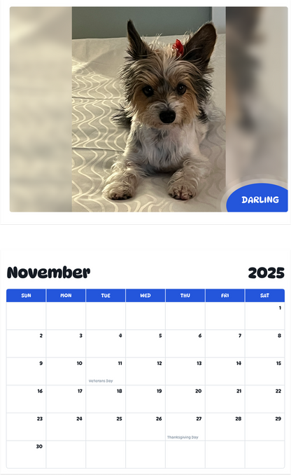 July 2025 - June 2026 Darling - Pawidols Pet Calendar