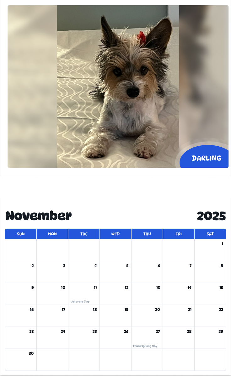July 2025 - June 2026 Darling - Pawidols Pet Calendar