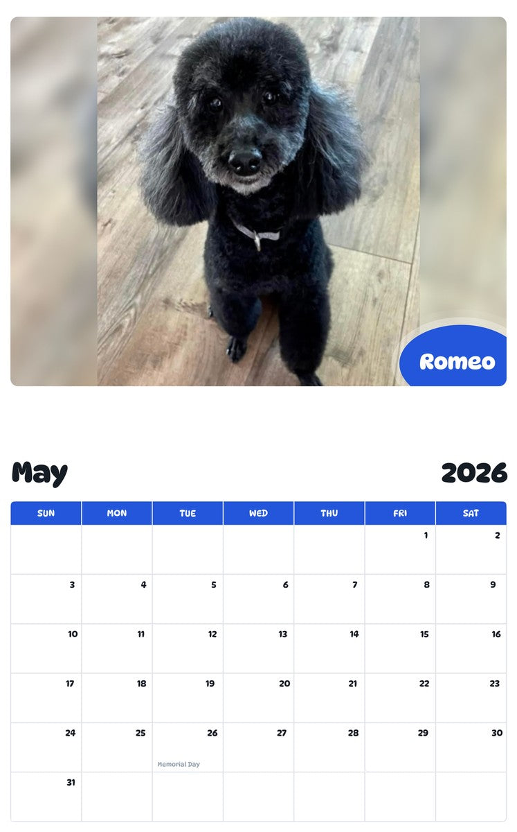 2026 - 2027 Romeo - Pawidols Pet Calendar