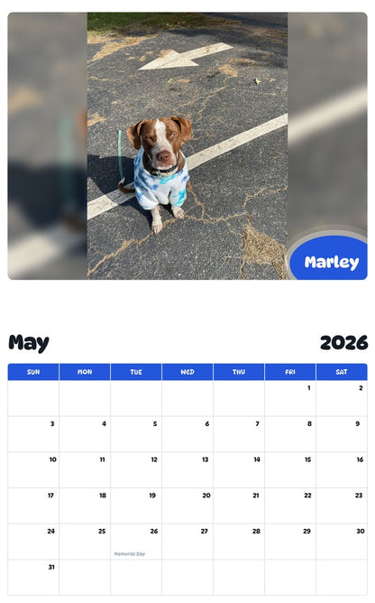 2026 - 2027 Marley - Pawidols Pet Calendar