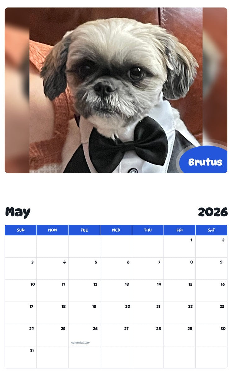 2026 - 2027 Brutus - Pawidols Pet Calendar