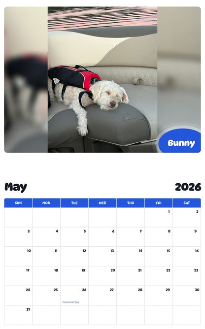 2026 - 2027 Bunny - Pawidols Pet Calendar