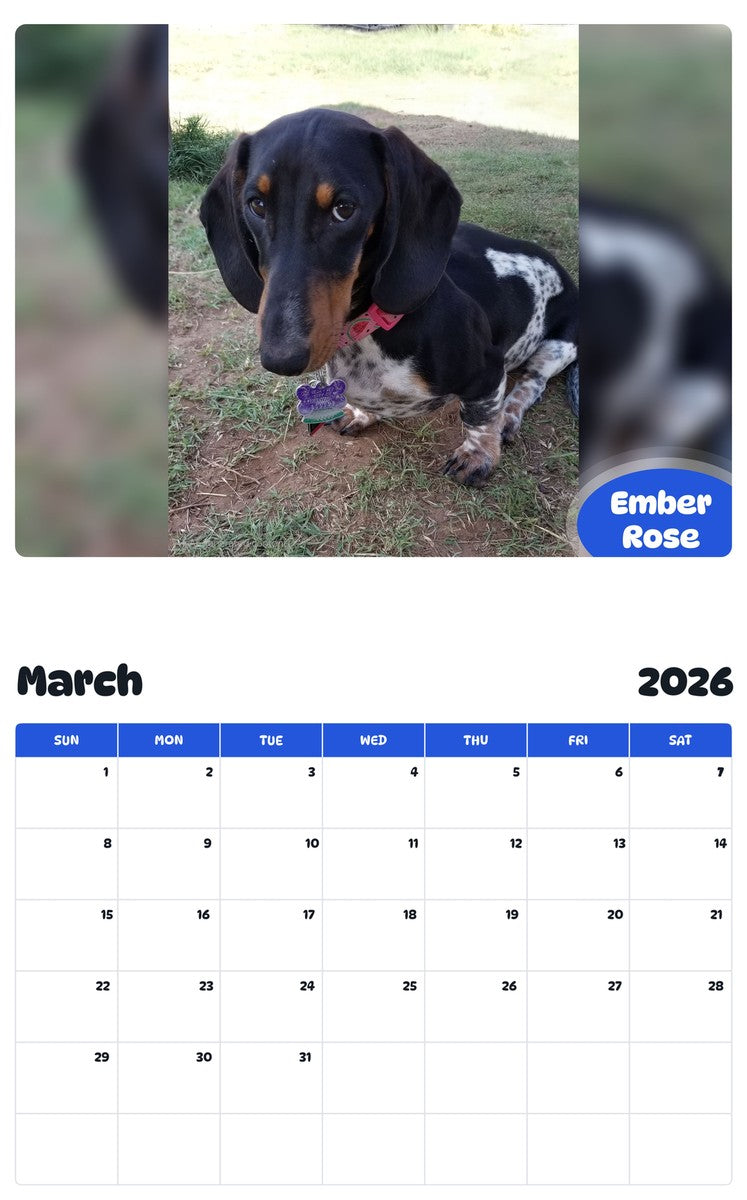 November 2025 - October 2026 Ember Rose - Pawidols Pet Calendar