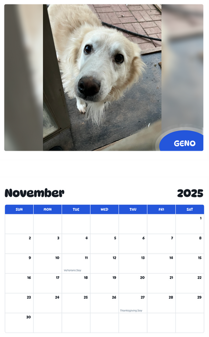 July 2025 - June 2026 Geno - Pawidols Pet Calendar