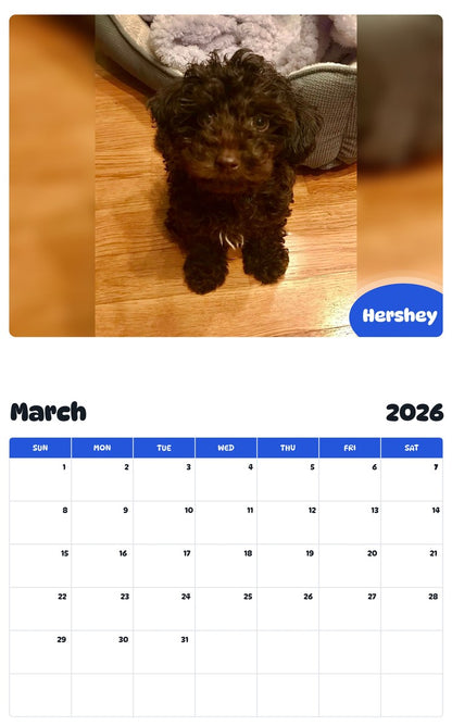 November 2025 - October 2026 Hershey - Pawidols Pet Calendar