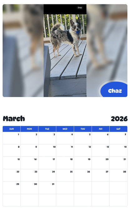 November 2025 - October 2026 Chaz - Pawidols Pet Calendar