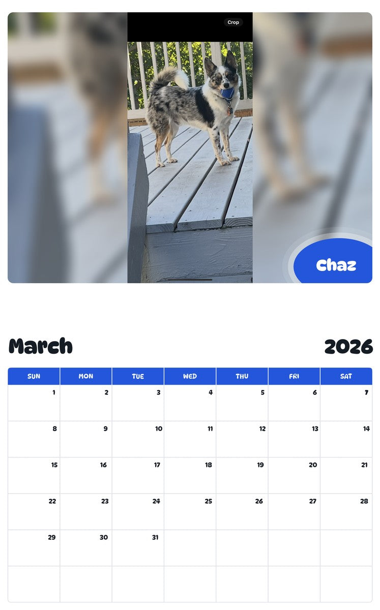 November 2025 - October 2026 Chaz - Pawidols Pet Calendar