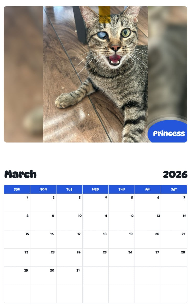November 2025 - October 2026 Princess - Pawidols Pet Calendar