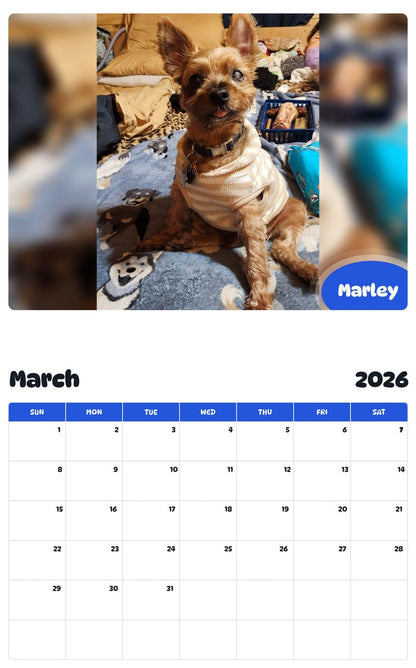 November 2025 - October 2026 Marley - Pawidols Pet Calendar
