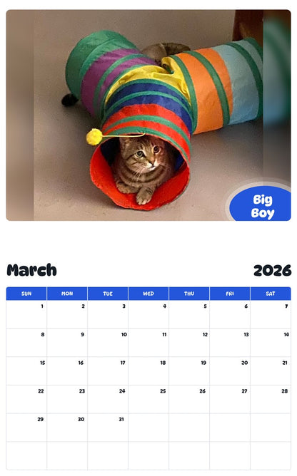 November 2025 - October 2026 Big Boy - Pawidols Pet Calendar