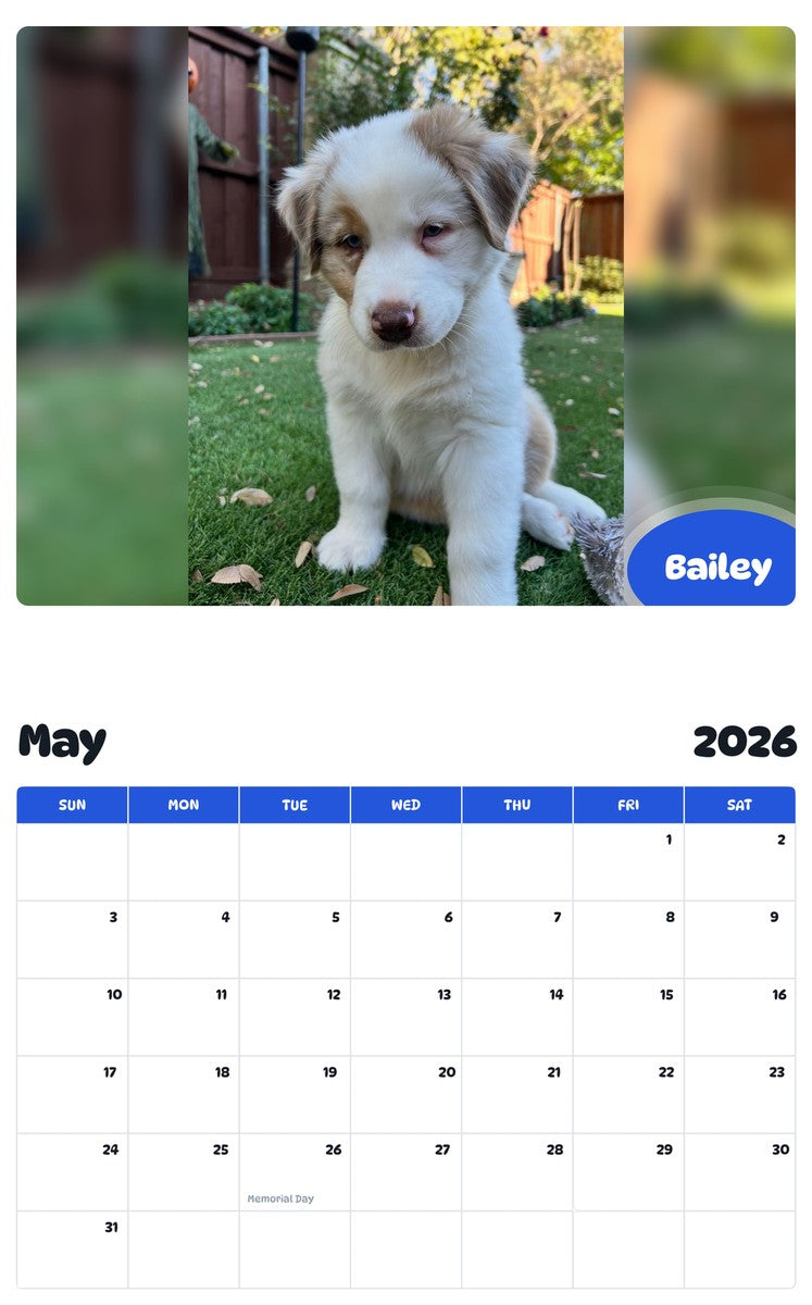 2026 - 2027 Bailey - Pawidols Pet Calendar