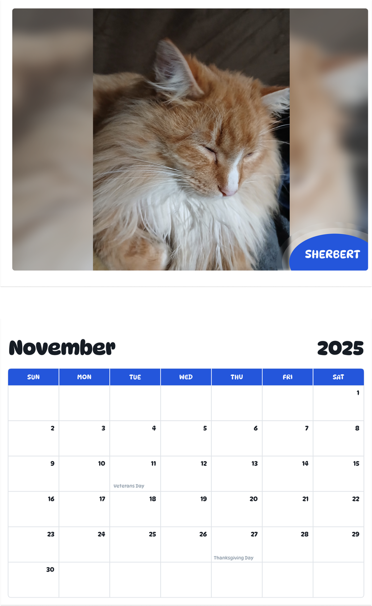 July 2025 - June 2026 Sherbert - Pawidols Pet Calendar