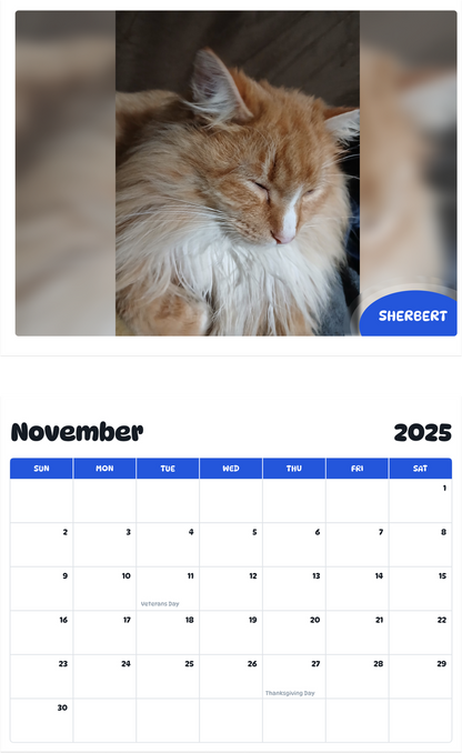 July 2025 - June 2026 Sherbert - Pawidols Pet Calendar