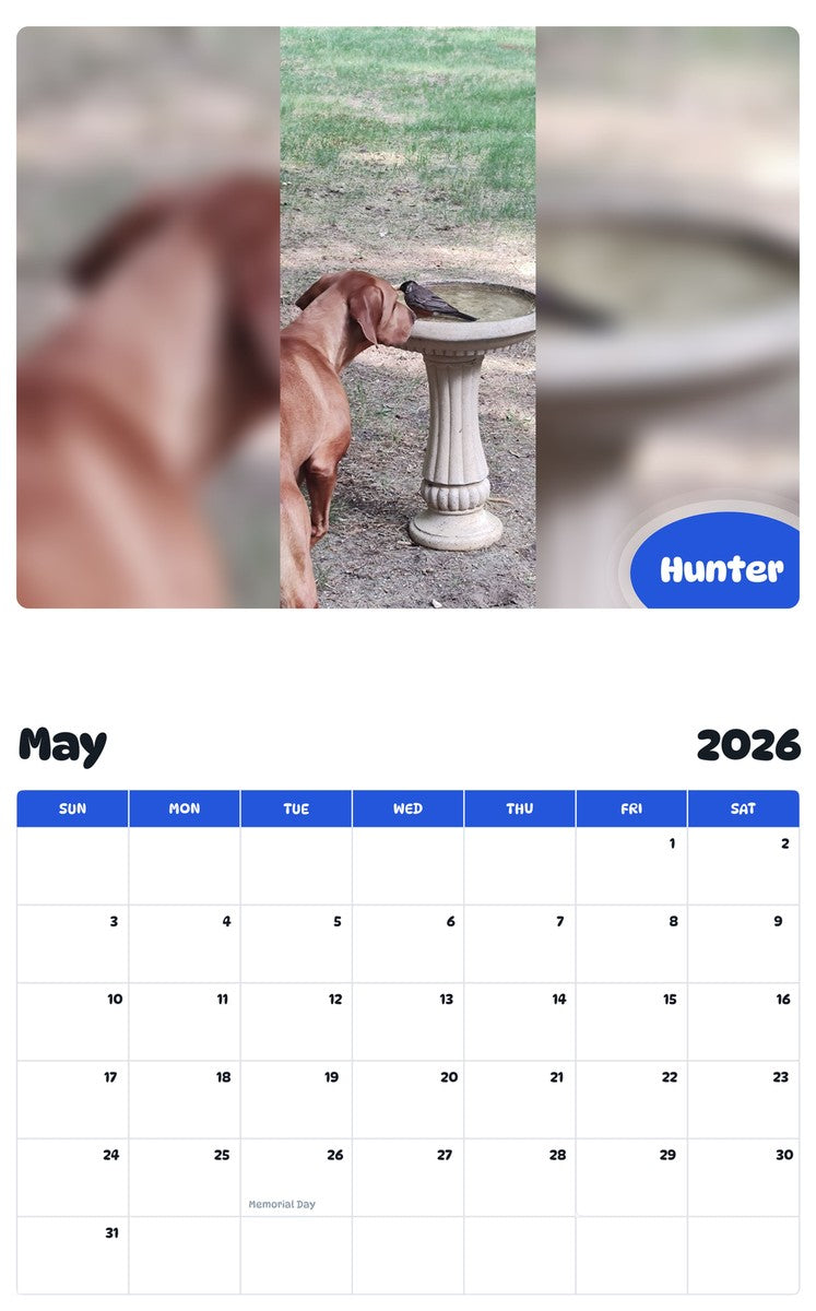 2026 - 2027 Hunter - Pawidols Pet Calendar