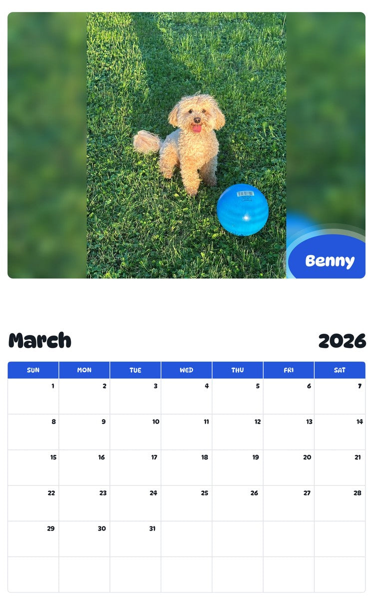 November 2025 - October 2026 Benny - Pawidols Pet Calendar