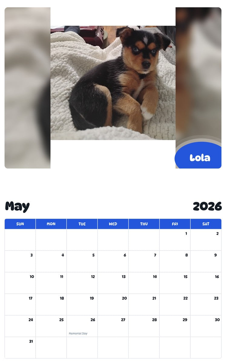 2026 - 2027 Lola - Pawidols Pet Calendar